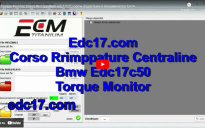 Torque Monitor edc17c50 come disabilitare il torquemonitor bmw